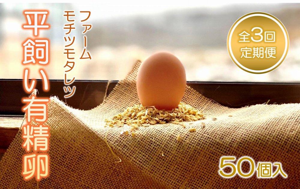 【3回定期便】ファームモチツモタレツの平飼い有精卵（50個入）