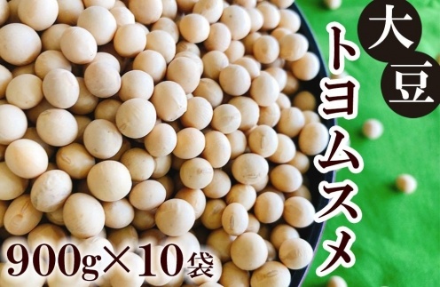 大豆（トヨムスメ）900g×10袋