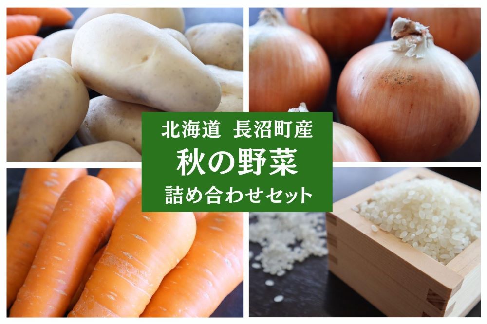 【2024年10月上旬発送】北海道 長沼町の《秋》の野菜セット