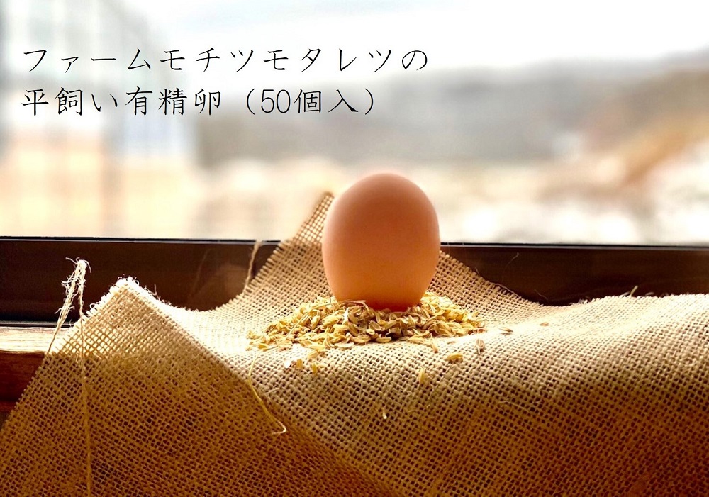 ファームモチツモタレツの平飼い有精卵（50個入）｜ふるラボ