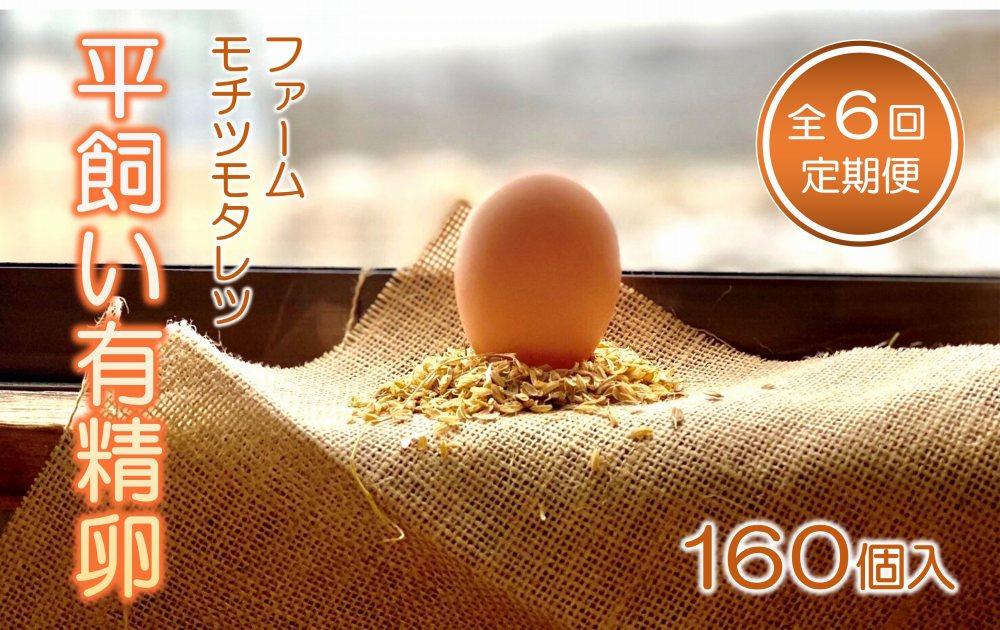 【6回定期便】ファームモチツモタレツの平飼い有精卵（160個入）
