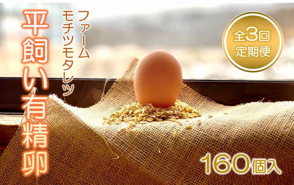 【3回定期便】ファームモチツモタレツの平飼い有精卵（160個入）