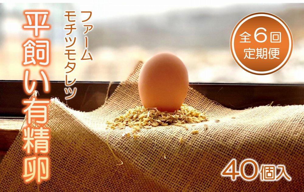 【6回定期便】ファームモチツモタレツの平飼い有精卵（40個入）