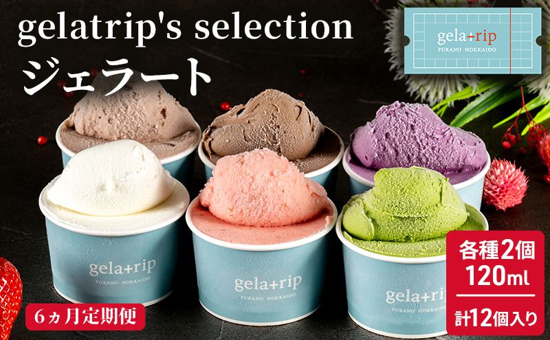 ≪6ヶ月定期便≫gelatrip's selection ジェラート12個BOX