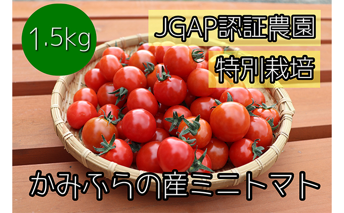 2023年7月から発送】特別栽培＆JGAP認証農場 かみふらの産朝採れミニ