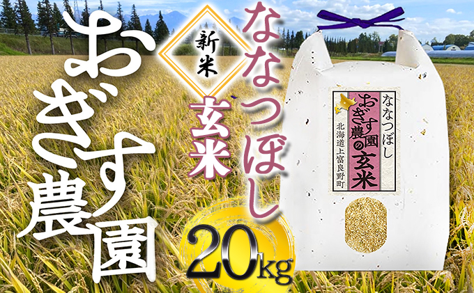 【新米】令和4年産 北海道米　ななつぼし　玄米　20kg