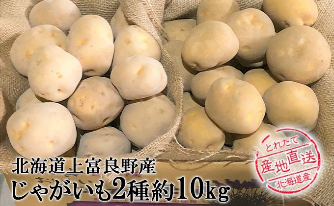 山形県河北町産 枝豆「秘伝豆（ひでんまめ）」３kg（１２袋） 令和4年産＜先行予約＞｜ふるラボ