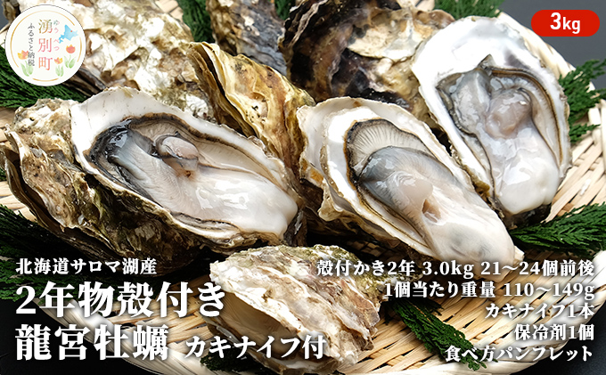 ふるさと納税 北海道 湧別町 [No.5930-0302]骨まで食べられる 北海道産