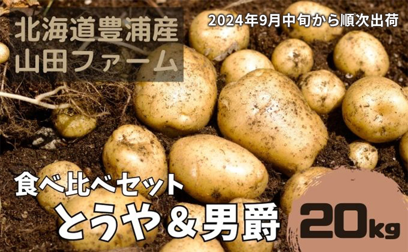 2024年9月中旬から順次出荷】北海道 豊浦産 じゃがいも とうや 男爵