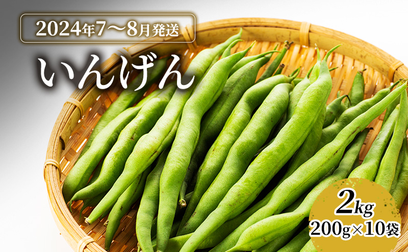 いんげん6キロ送料無料野菜 - 野菜
