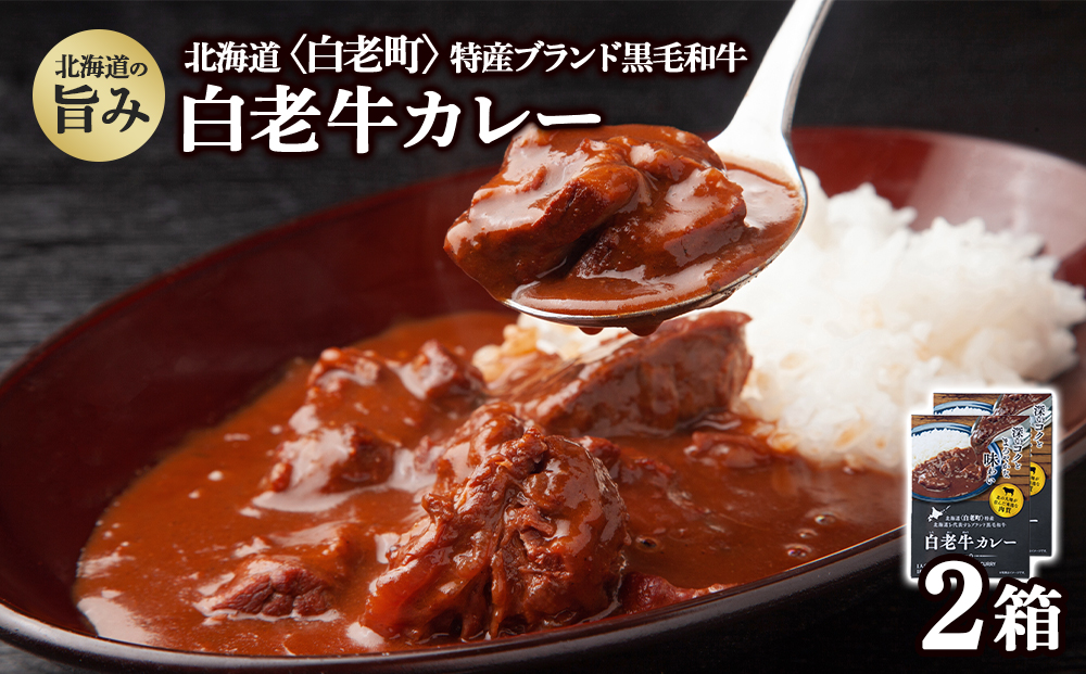 カレー レトルト 白老牛カレー 180g×2箱 北海道 国産 和牛 ビーフカレー