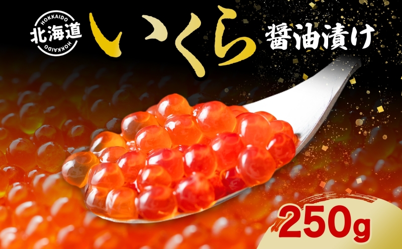 北海道産 いくら醤油漬け 250g 北海道 イクラ醤油漬け 小分け いくら 国産 イクラ 海鮮 魚介 魚卵 海産物 醤油漬け 鮭いくら 新鮮 寿司 刺身 おかず おつまみ 贅沢 お取り寄せ グルメ 贈り物 ギフト プレゼント