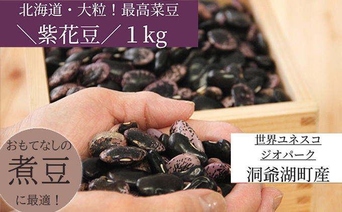 北海道・洞爺湖町産 高級菜豆の紫花豆1kg（500g×2袋）｜ふるラボ