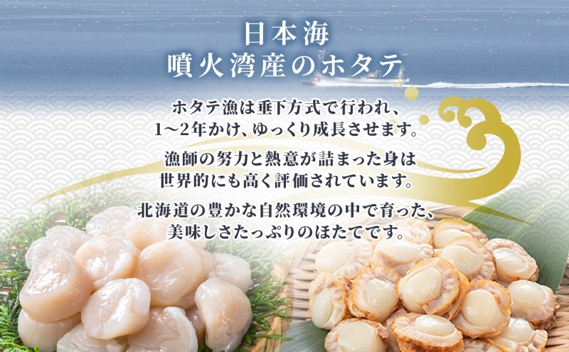 北海道産 ほたて 貝柱 生食用 約1kg 30粒 前後 北海道 玉冷 ホタテ