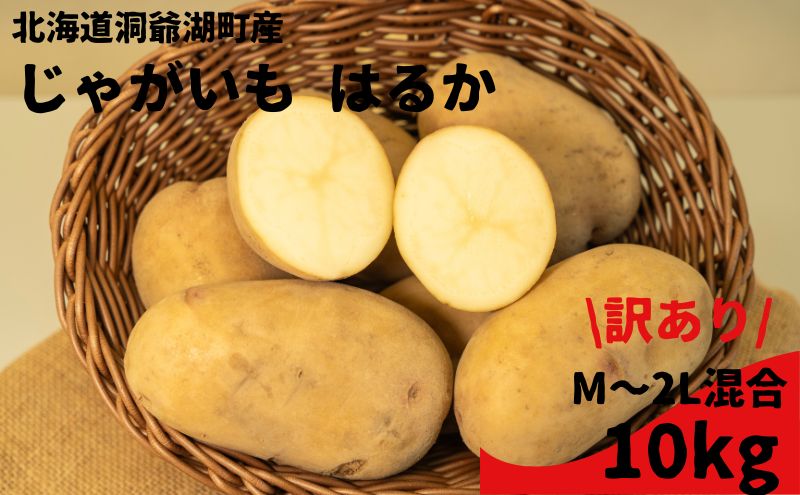 【訳あり】北海道 洞爺湖町 じゃがいも はるか10kg M～2L混合 サイズ無選別 野菜 じゃがいも ジャガイモ 馬鈴薯 芋 いも イモ 旬 野菜 農作物 カレー シチュー肉じゃが