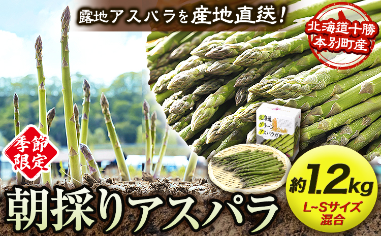 北海道十勝 露地栽培 朝採り直送「季節限定!朝採りアスパラ 1.2kg」 本別町産 本別町農業協同組合 送料無料 先行予約 北海道 本別町 アスパラガス 春 お野菜類 旬 露地 産地直送 グリーンアスパラガス[5月中旬-6月中旬頃より順次出荷]