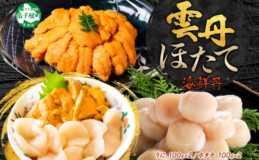 3078. うに チリ産 冷凍 200g ホタテ 200g 計400g セット ウニ 雲丹 ほたて 生ほたて 帆立 海鮮 海鮮丼 送料無料 北海道 弟子屈町 17000円