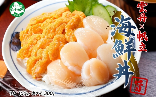 3208. うに チリ産 冷凍 100g ホタテ 300g セット ウニ 雲丹 ほたて 生ほたて 帆立 貝柱 貝 冷凍 海鮮 海鮮丼 送料無料 北海道 弟子屈町