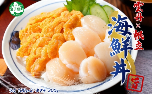 2937. うに チリ産 冷凍 100g ホタテ 300g セット ウニ 雲丹 ほたて 生ほたて 帆立 貝柱 貝 冷凍 海鮮 海鮮丼 送料無料 北海道 弟子屈町