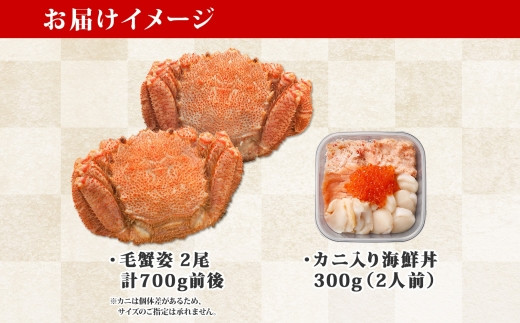 2067. 毛蟹 2尾 計700g前後 海鮮丼 6種 カニ Bセット 300g前後 専用