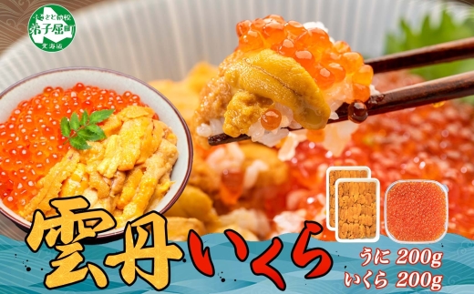 2495.  ウニ チリ産 冷凍 100g×2個 いくら 200g 二色丼 うに イクラ 海鮮 期間限定 数量限定 送料無料 北海道 弟子屈町