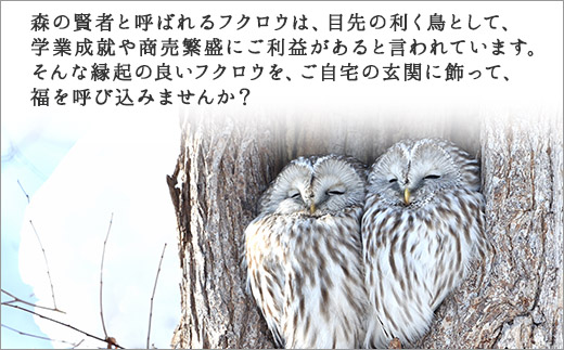 519.木製名入れ 手作り 表札 ふくろう （夫婦） 小サイズ 北海道