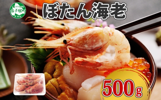 1311.  ボタンエビ 500g えび エビ 海老 お刺身 魚介 海鮮 送料無料 北海道 弟子屈町