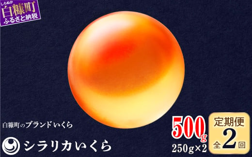 年2回お届け定期便 シラリカいくら(生いくら)[500g(250g×2)]