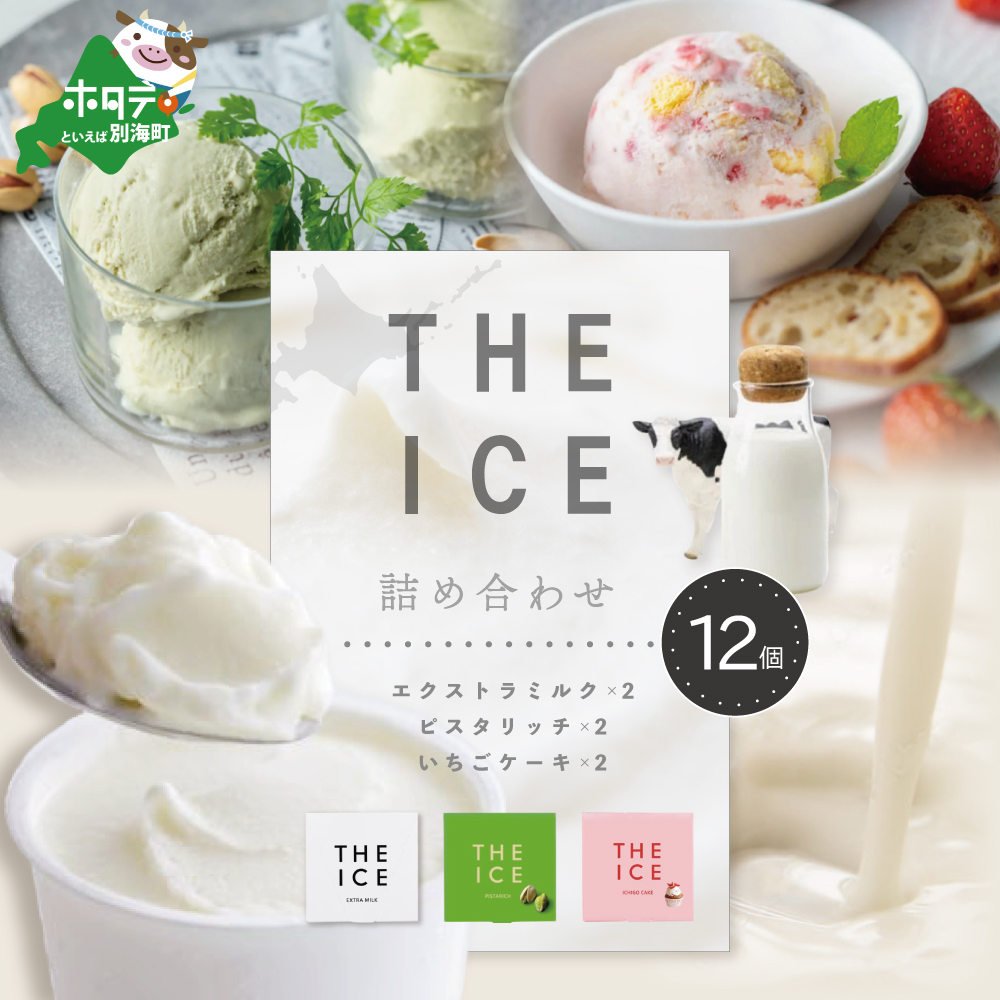 厳選別海町産生乳使用[THE ICE]詰め合わせ 12個セット( 北海道アイス 北海道産アイス アイス アイススイーツ アイスクリーム 北海道産アイスクリーム 道産アイス 道産アイスクリーム ピスタチオ いちご イチゴ ギフト ふるさと納税)