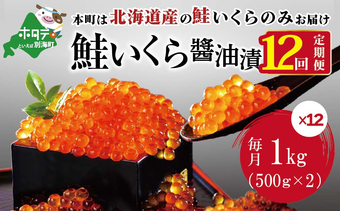 大人気爆買い 大粒 鮭いくら 1kg おおつぶ イクラ 鮭魚卵使用 白鮭 チャムいくら 大粒イクラ 1000g 大粒 魚卵 贈答品 贈答  贈答グルメ 返礼品 返礼 返礼グルメ グルメギフト お中元 中元 御中元 お盆 盆 歳暮