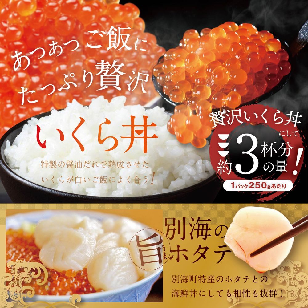 希少な新物いくら！計500g【250g×1パック 2回 お届け】 2ヵ月 定期便