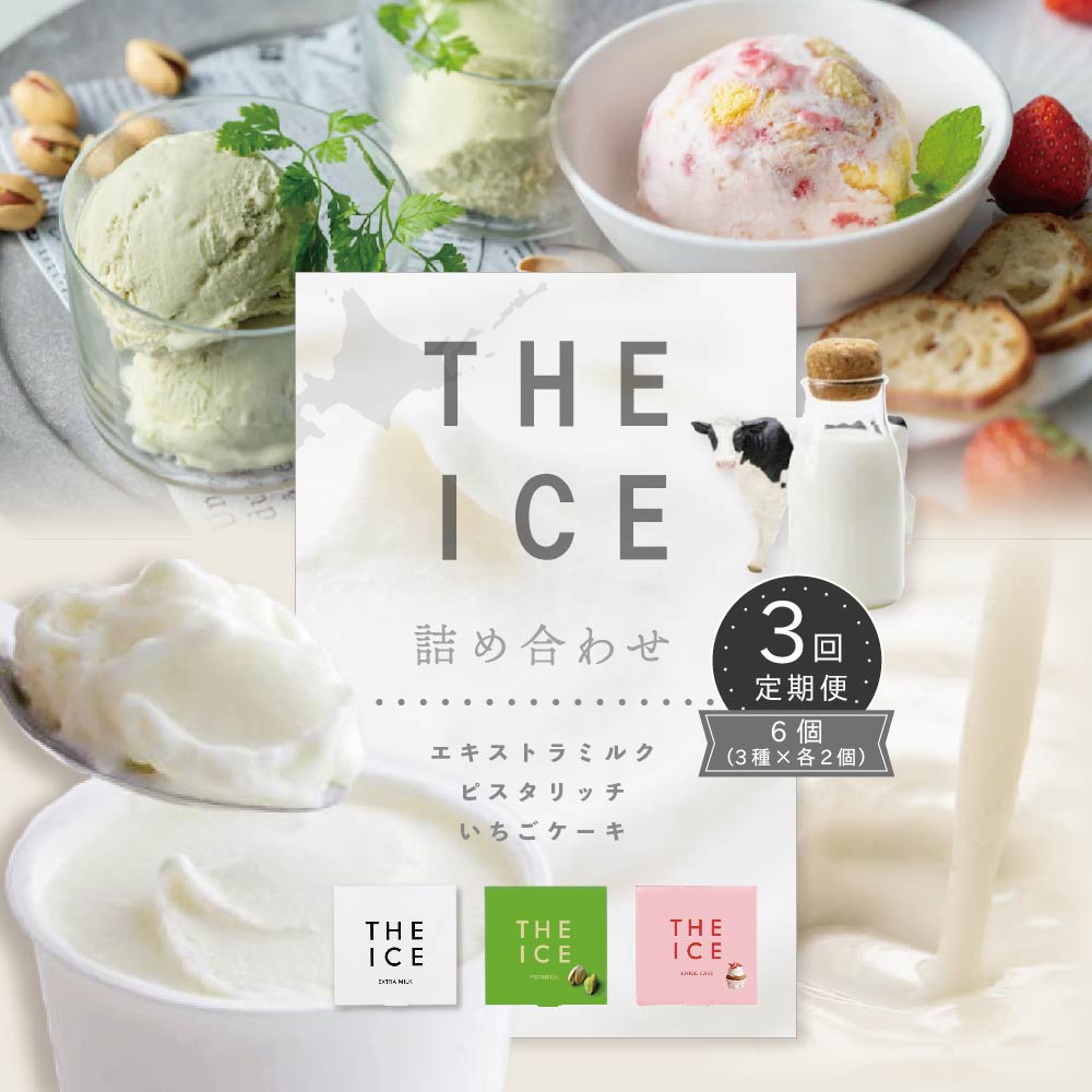 【毎月定期便】【THE ICE】3種詰合せ6個セット×3ヵ月定期便 【be003-1072-100-3】（J FARM AMUSE 株式会社）