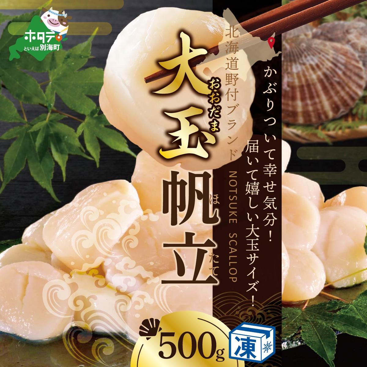 北海道 野付産 冷凍ホタテ 貝柱 大玉（Sサイズ）ホタテ500ｇ（ほたて ホタテ 帆立 ふるさと納税 お届け）