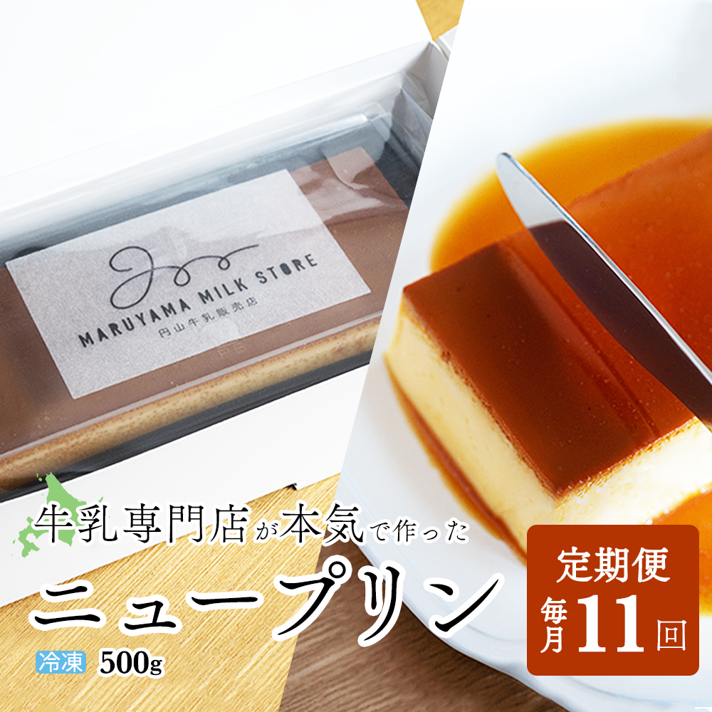 【定期便】濃厚プリン　New Pudding（ニュープディング）（500g×1本）×11ヶ月【be152-0931-100-11】