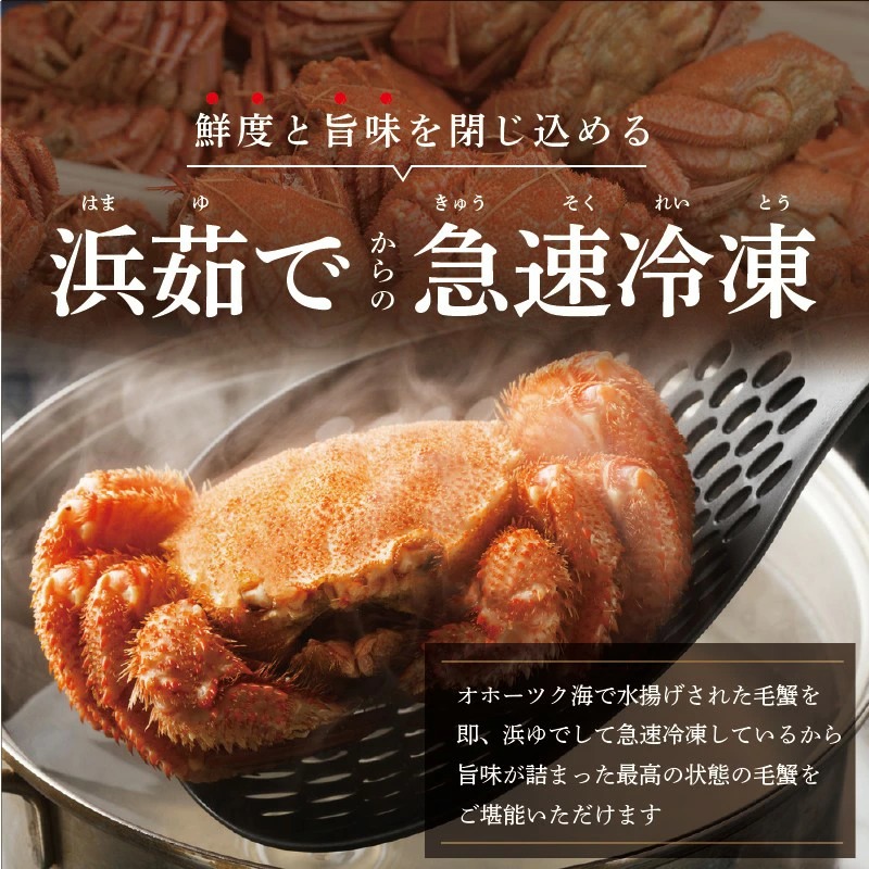 定期便】北海道 産 特大 毛蟹 冷凍 1尾 (600g～800g) × 4ヵ月【全4回】｜ふるラボ