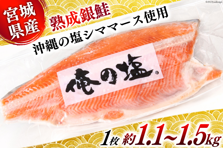 俺の塩】熟成 銀鮭 宮城県産 定塩フィーレ 1枚 約1.1~1.5kg [宮城東洋