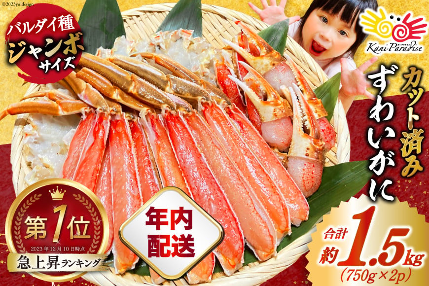 【年内配送 12/15まで受付】カット済 ずわいがに むき身セット 総重量1.5kg(750g×2p) かにしゃぶ かに鍋 正味重量1.2kg [カネダイ 宮城県 気仙沼市 20564319] かに カニ ずわいがに ずわい 蟹 棒 魚介 海鮮 ポーション