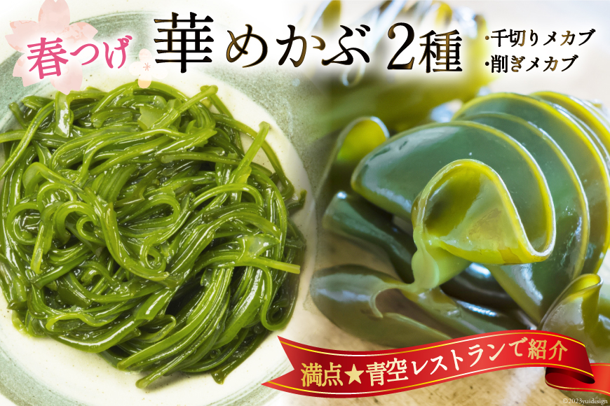 ＼満点★青空レストランで紹介／ 春つげ華めかぶ セット (千切りメカブ300g×1p･削ぎメカブ250g×2p) [第38漁徳丸 宮城県 気仙沼市 20564162] メカブ めかぶ 海藻 魚介類 芽株 ワカメ 支援 事業者支援 食べ比べ 冷蔵 三陸わかめ