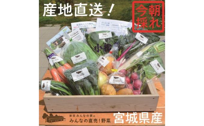 採れたて野菜を箱いっぱい詰め込んで♪岩沼みんなの家の「みんなの直売！野菜」セット詰め合わせ