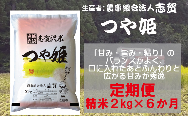 [6ヶ月定期便]宮城県岩沼市産 志賀沢米 つや姫 精米2kg