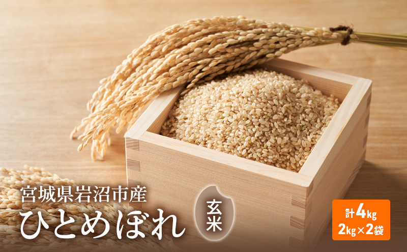 令和6年度産 ひとめぼれ玄米2kg×2袋 宮城県 岩沼市 玄米 お米 米 ごはん ご飯 単一原料米