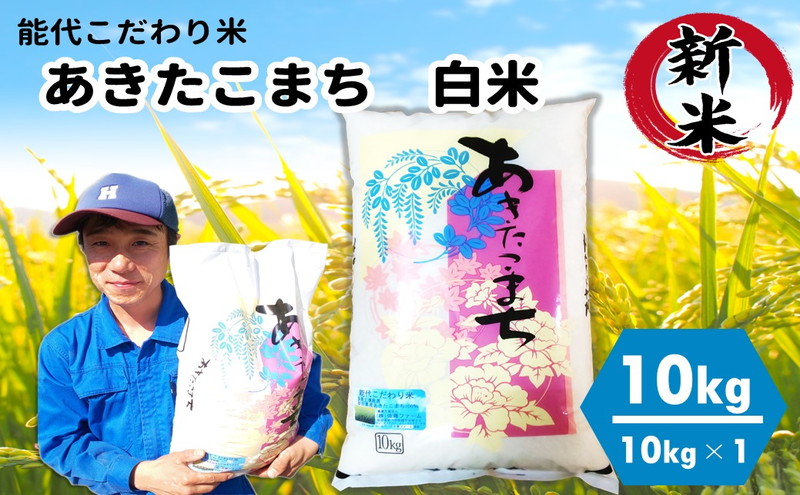 【白米】秋田県産 あきたこまち 10kg ごはんソムリエが選ぶ 能代こだわり米 令和5年産