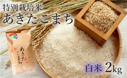 【白米】特別栽培米 あきたこまち 2kg 秋田県産 令和5年産