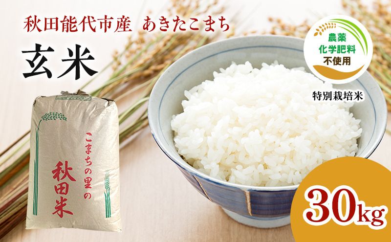 【玄米】秋田県認証 特別栽培米 あきたこまち 30kg 秋田県産 令和6年産