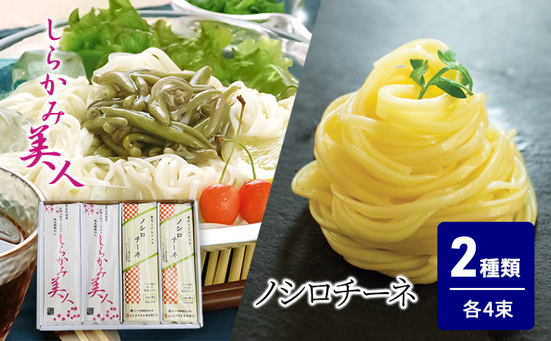 食べ比べ しらかみ美人 140g(約2人前)×4束 能代うどんパスタ ノシロチーネ 200g(約2人前)×4束 乾麺 和風 フィットチーネ 平打ち麺 鍋 冷たい 温かい ざるうどん 鍋の締め