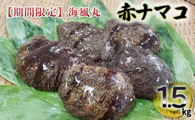 【期間限定】 1.5kg 海風丸 秋田県 男鹿市 魚貝類 加工食品 ナマコ なまこ 