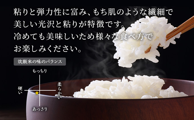 定期便 令和5年産 あきたこまち 精米 5kg×1袋 2ヶ月連続発送（合計