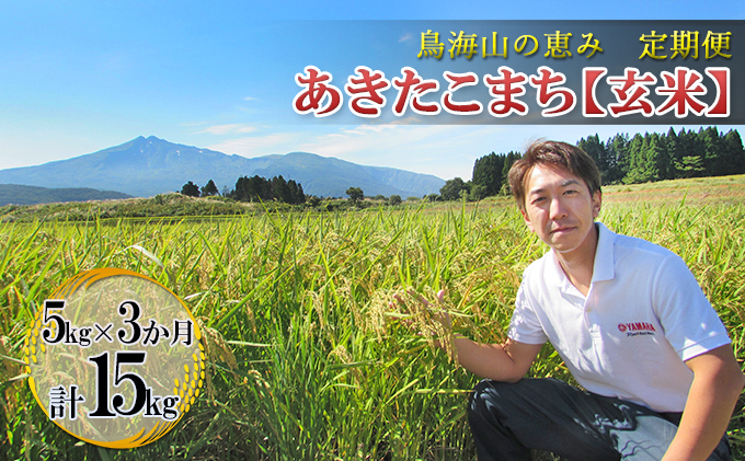 新米 米 お米 【定期便】5kg×3ヶ月 鳥海山の恵み 農家直送！ あきたこまち（玄米）