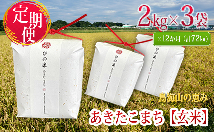 定期便》6kg×12ヶ月 秋田県産 あきたこまち 玄米 2kg×3袋 神宿る里の米