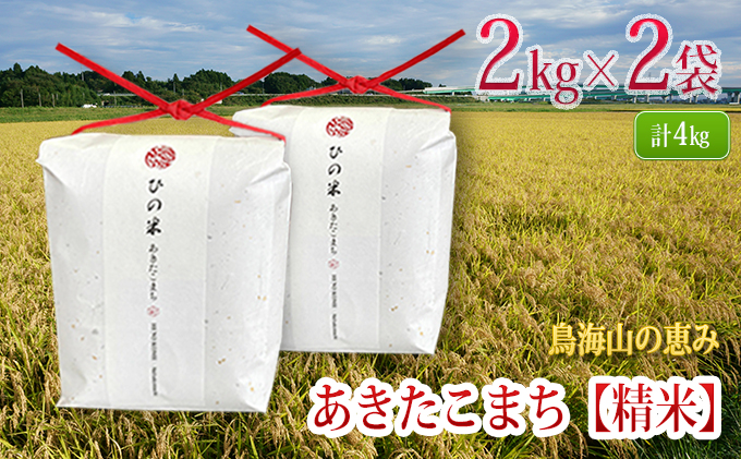 新米 米 お米 秋田県産 あきたこまち 精米 4kg（2kg×2袋）神宿る里の米「ひの米」（お米 小分け）